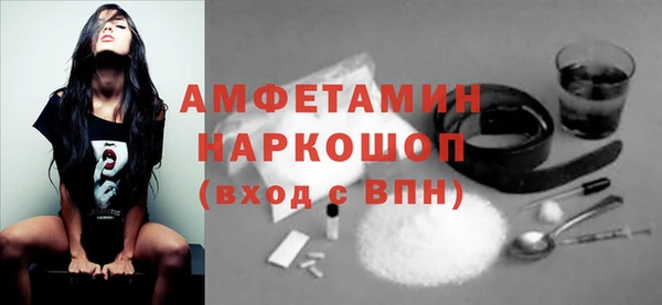 индика Абаза