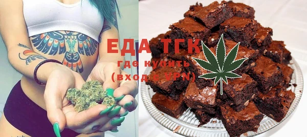 индика Абаза