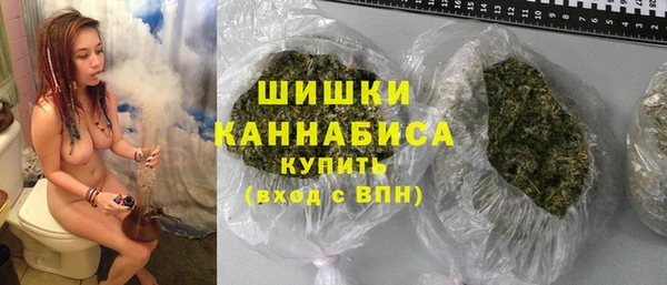 индика Абаза