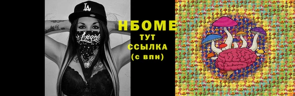 индика Абаза