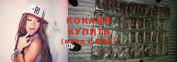 индика Абаза